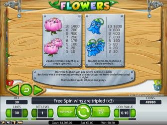 Выигрышная таблица в игровом аппарате Flowers